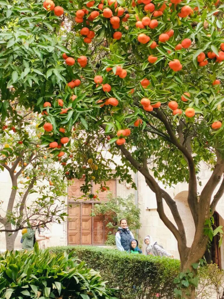 things to do in valencia