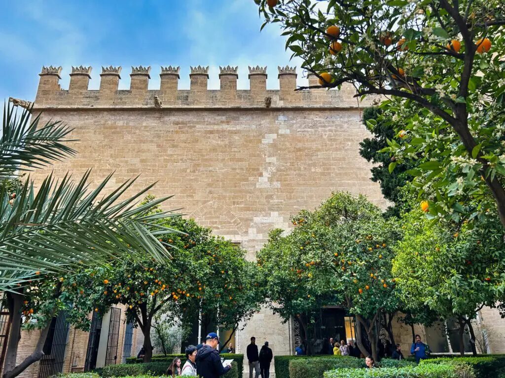 things to do in valencia