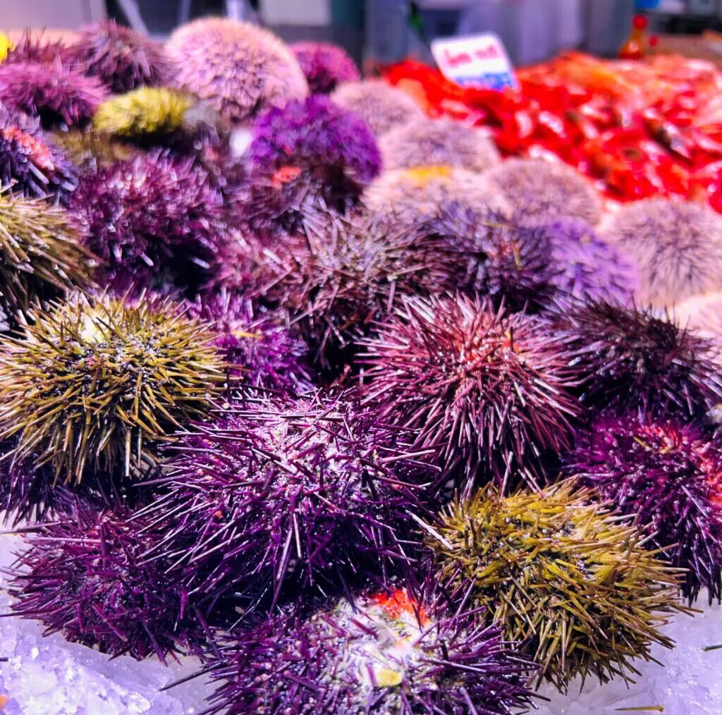 things to do in valencia