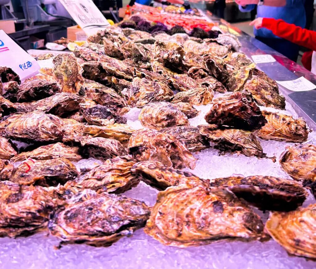 things to do in valencia