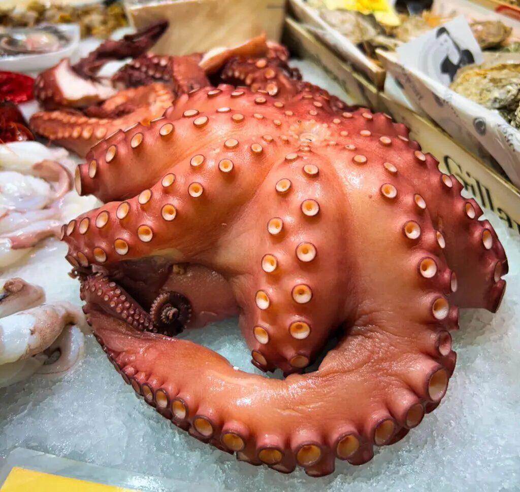 things to do in valencia