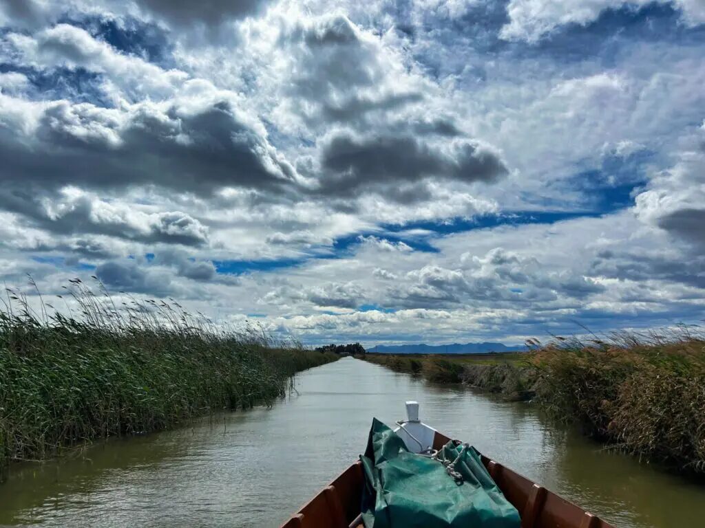 things to do in valencia