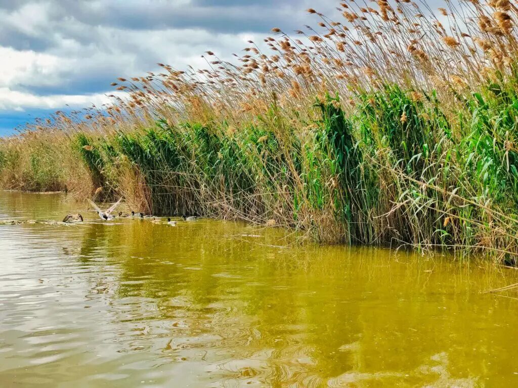 things to do in valencia