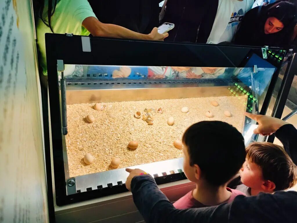 things to do in valencia