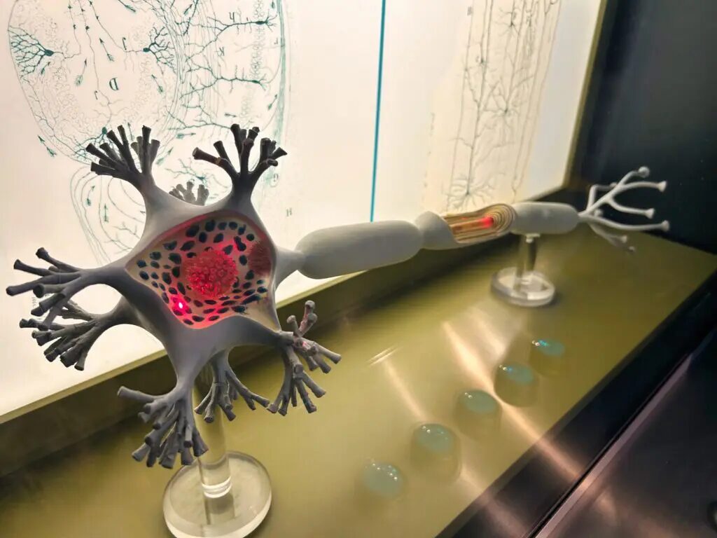 things to do in valencia