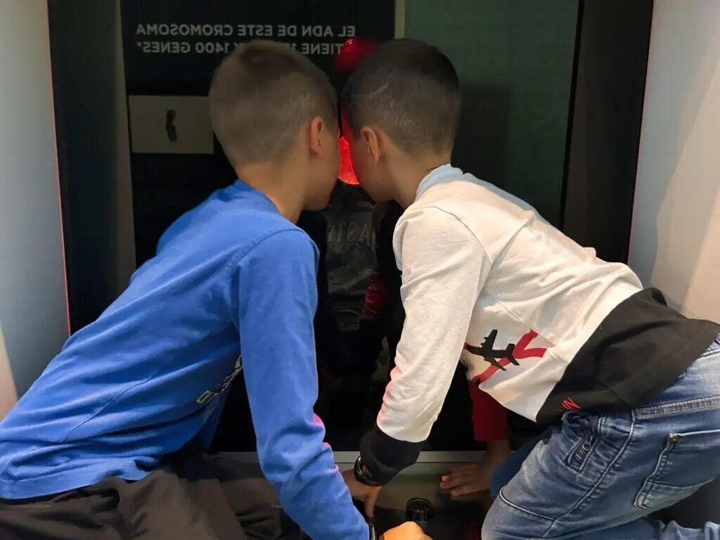 things to do in valencia