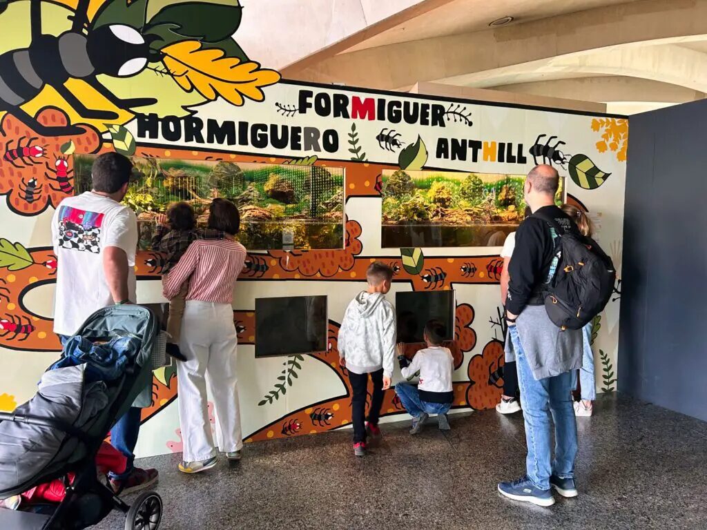 things to do in valencia