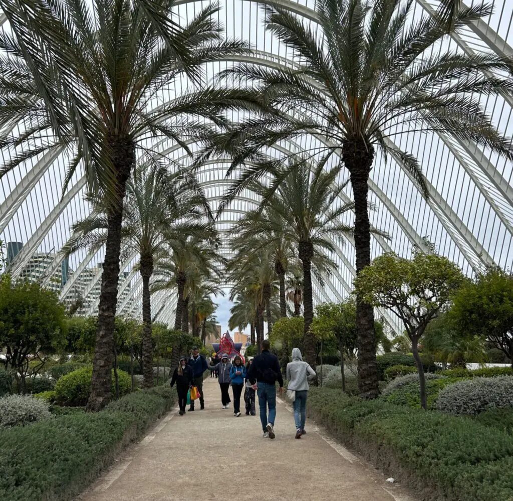 things to do in valencia