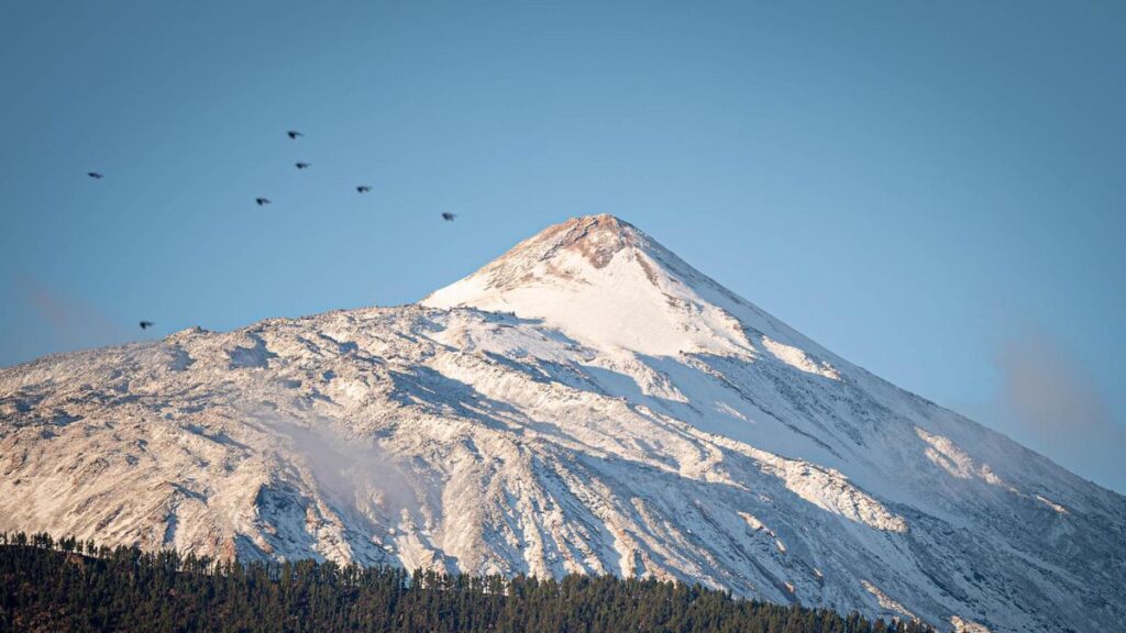 tenerife earthquake swarm no eruption risk
