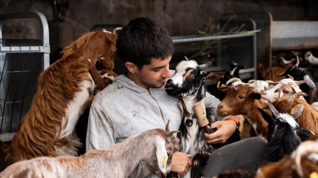 canary islands agroinfluencers farmers social media
