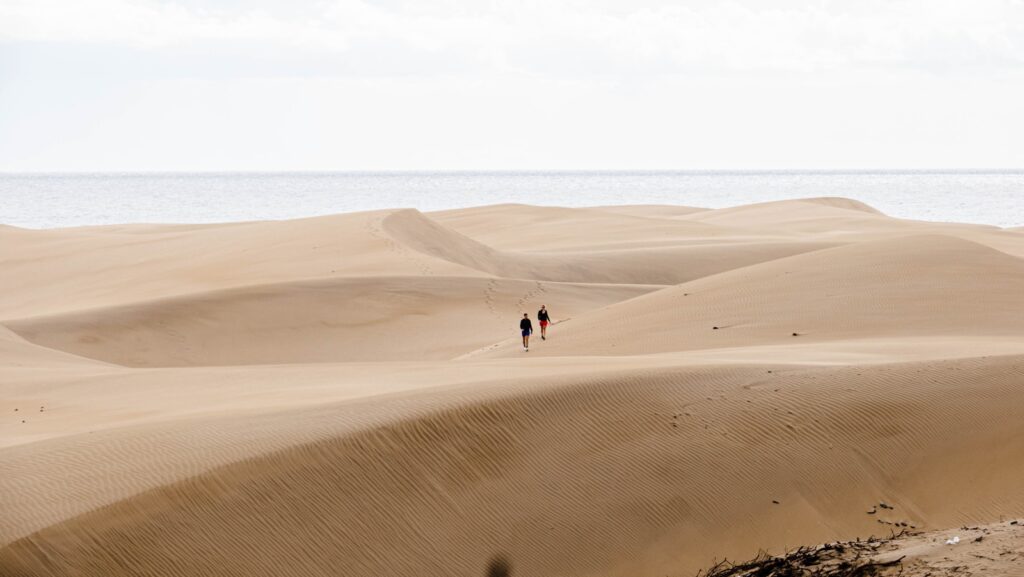 Maspalomas dunes
