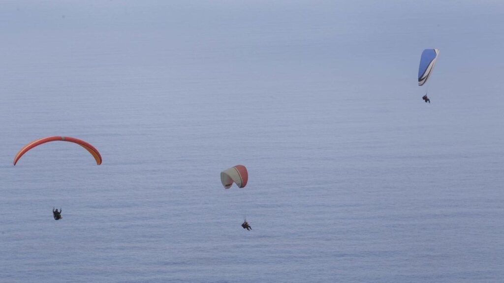 tenerife paragliding safety crisis urgent review