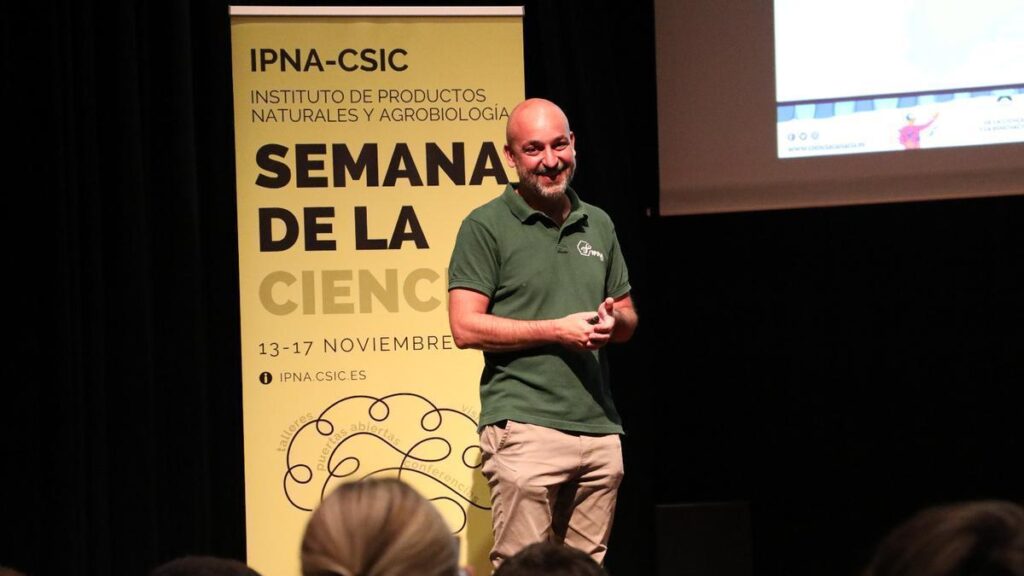 tenerife seismic activity no eruption risk expert