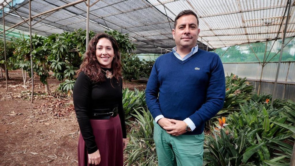 canary islands export climate prediction tool sicma