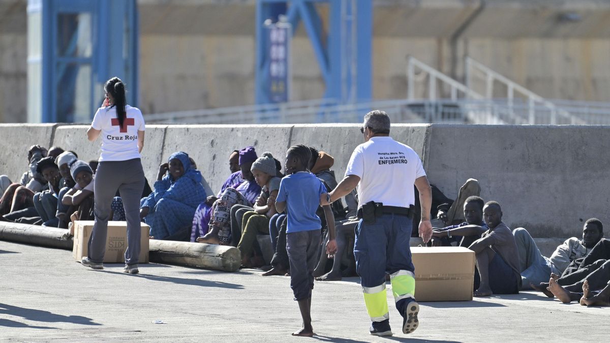 canary islands migrant arrivals drop 80 percent 2026
