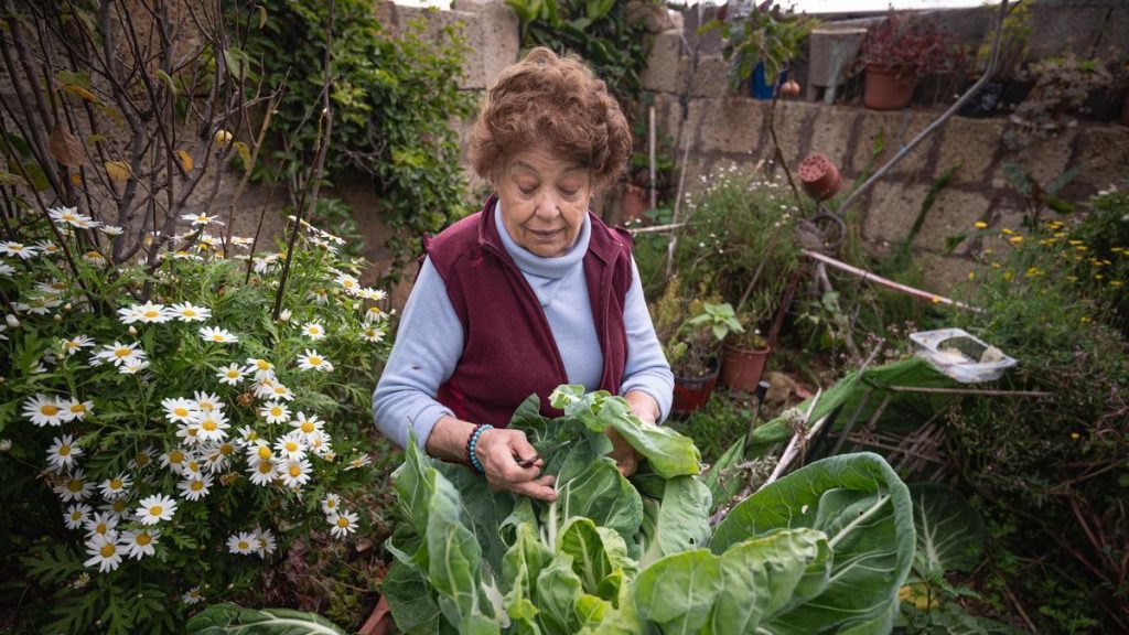 canary islands shopping basket traditional international foods