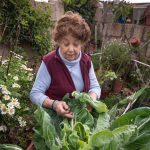 canary islands shopping basket traditional international foods