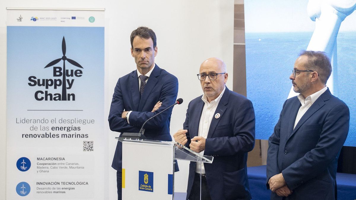 gran canaria first offshore wind auction spain pilot
