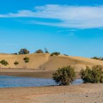 gran canaria maspalomas dunes protection plan approved