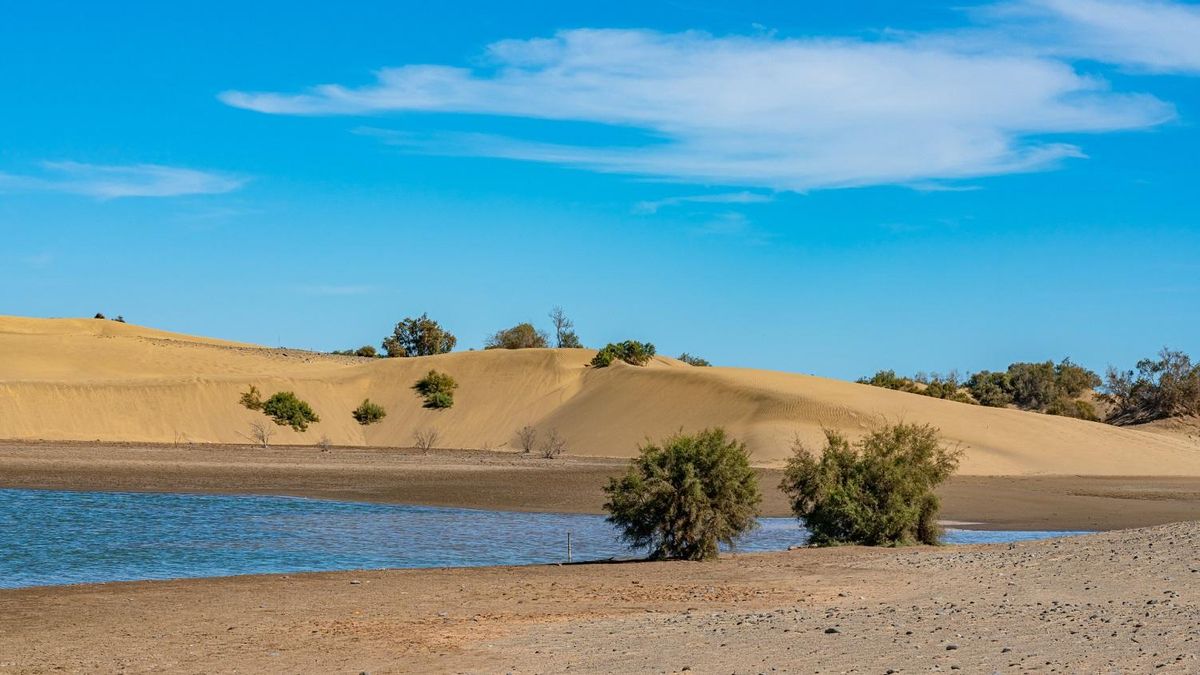 gran canaria maspalomas dunes protection plan approved