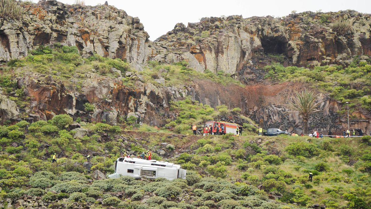 la gomera tourist bus accident brake failure