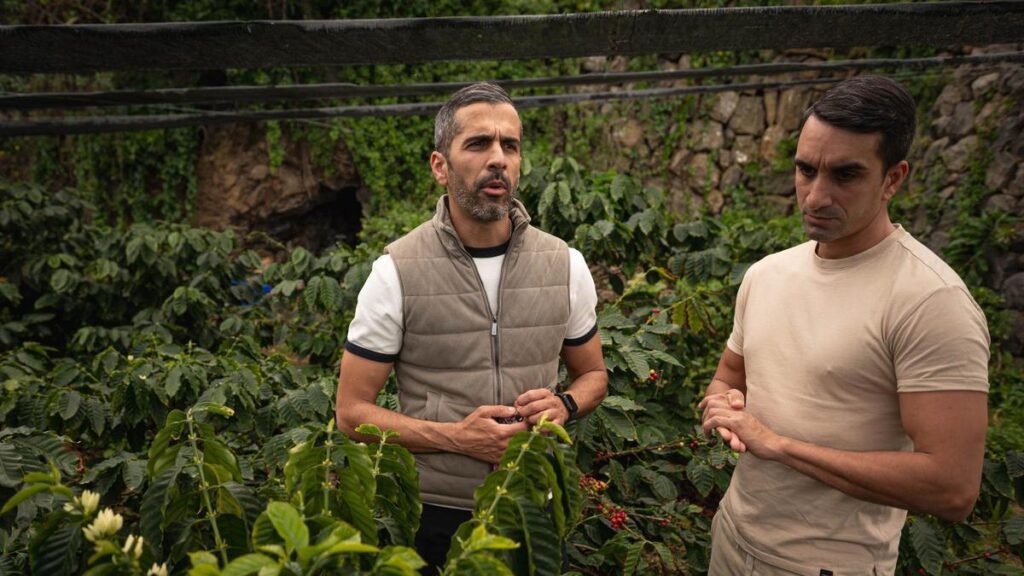 tenerife coffee plantation san juan de la rambla microclimate