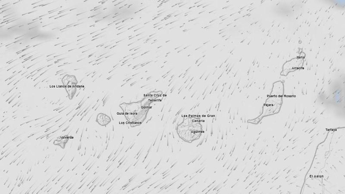 tenerife weather forecast friday calima wind temperatures
