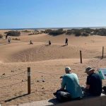 tourists damage maspalomas dunes gran canaria