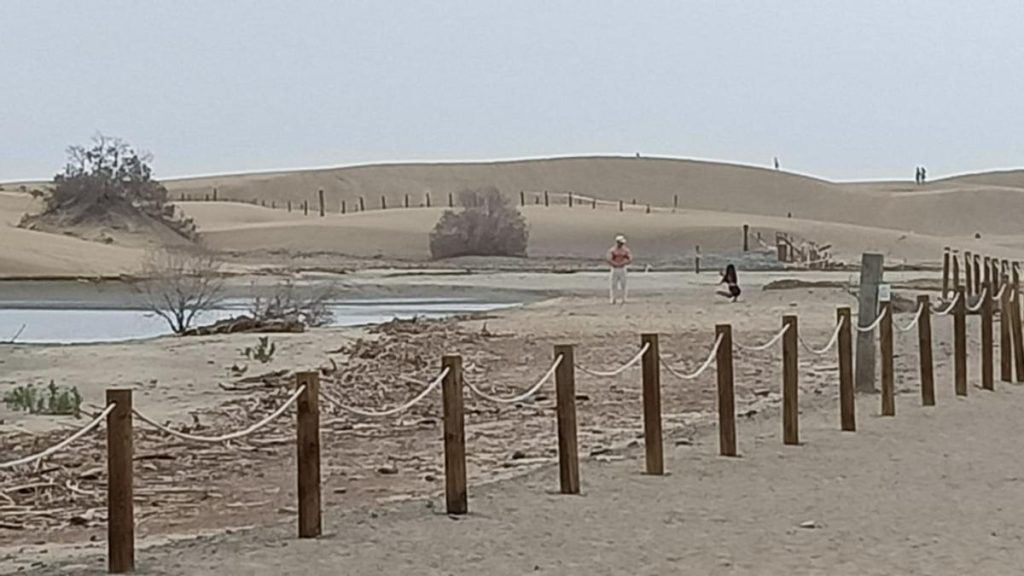 tourists ignore rules maspalomas protected area gran canaria