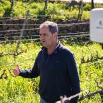 ai tenerife winery vinatigo
