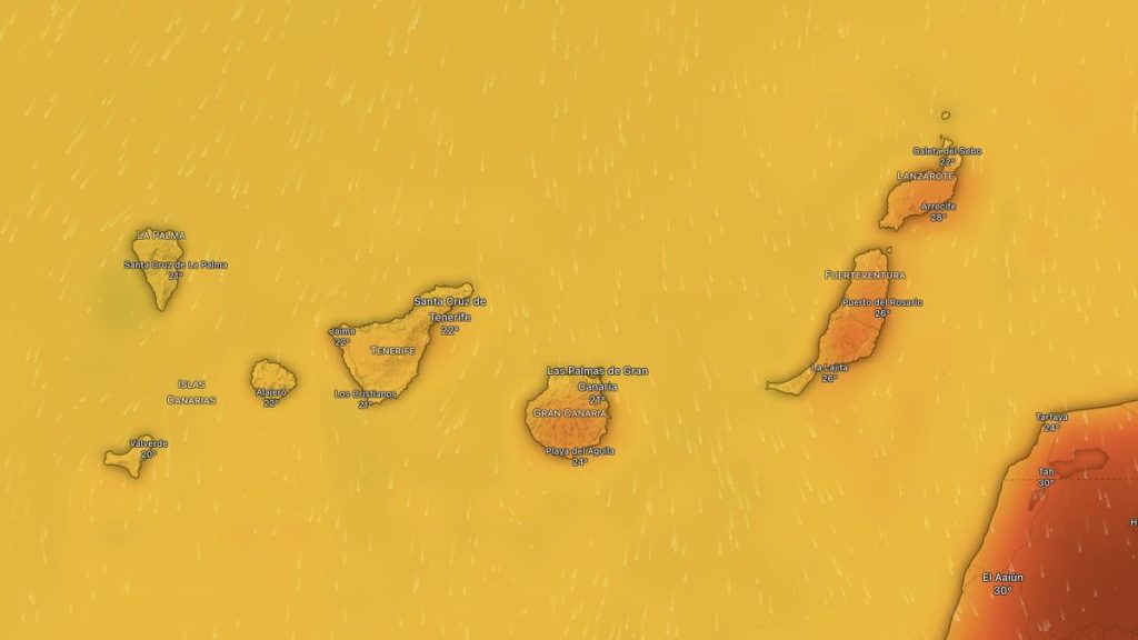 canary islands weather this week may 2026
