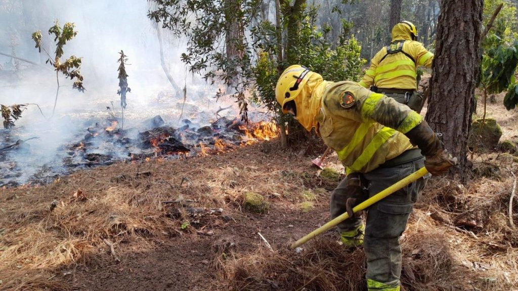 canary islands wildfire campaign 2026
