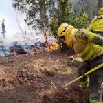 canary islands wildfire campaign 2026