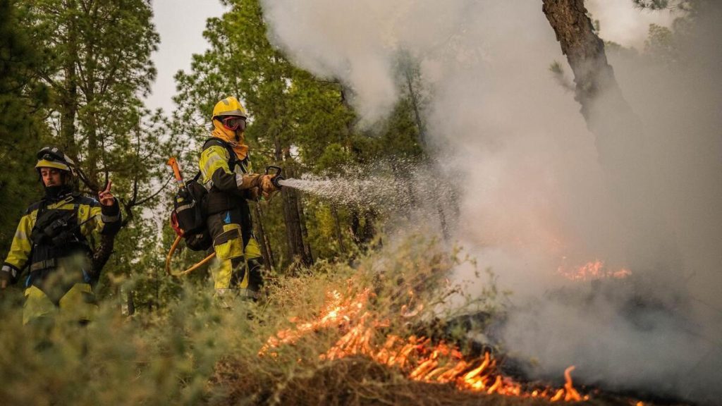canary islands wildfire season 2026 response