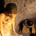 drago park icod guanche experience