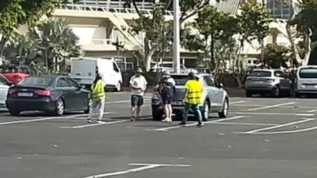 gorrillas video argument tip santa cruz tenerife