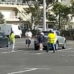 gorrillas video argument tip santa cruz tenerife