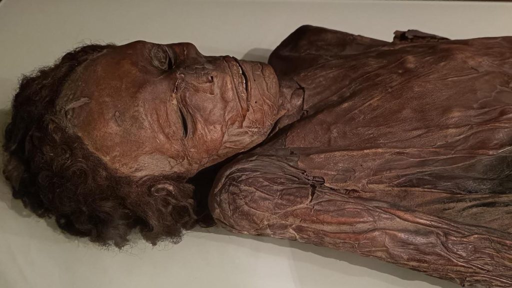guanche mummy last meal pollen