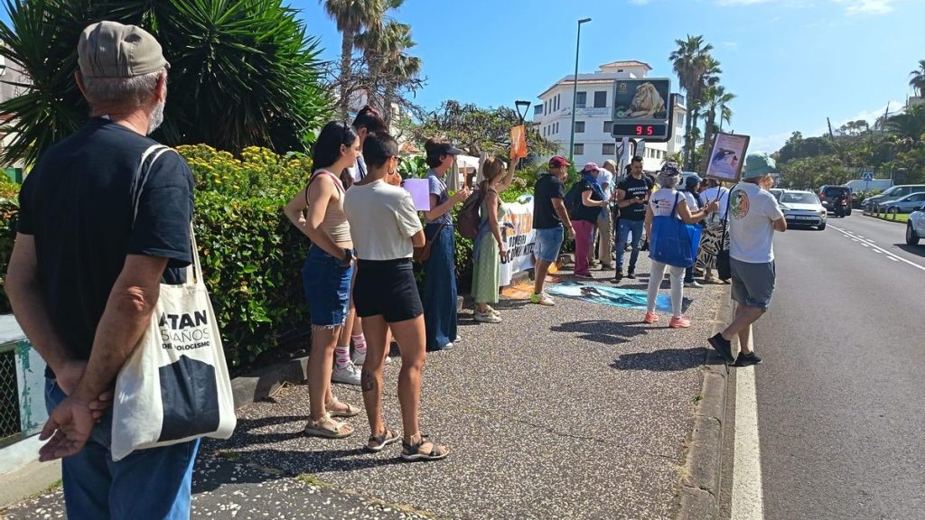 loro parque protest cetaceans tenerife