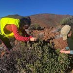 teide frozen air lake plants survival