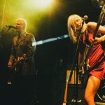 the molotovs canary islands concerts
