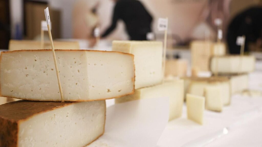 canary islands cheeses cincho cheese awards 2026