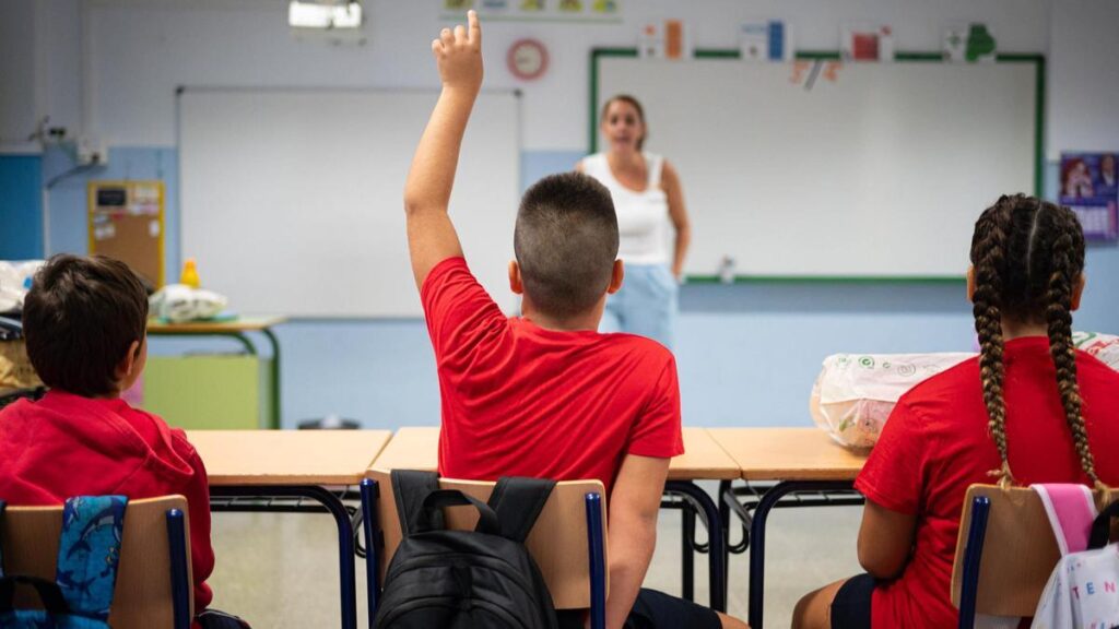 canary islands leads spain class size reduction