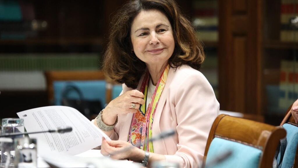canary islands tax revenue 2025 debate