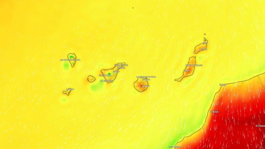 canary islands weather sunday stable