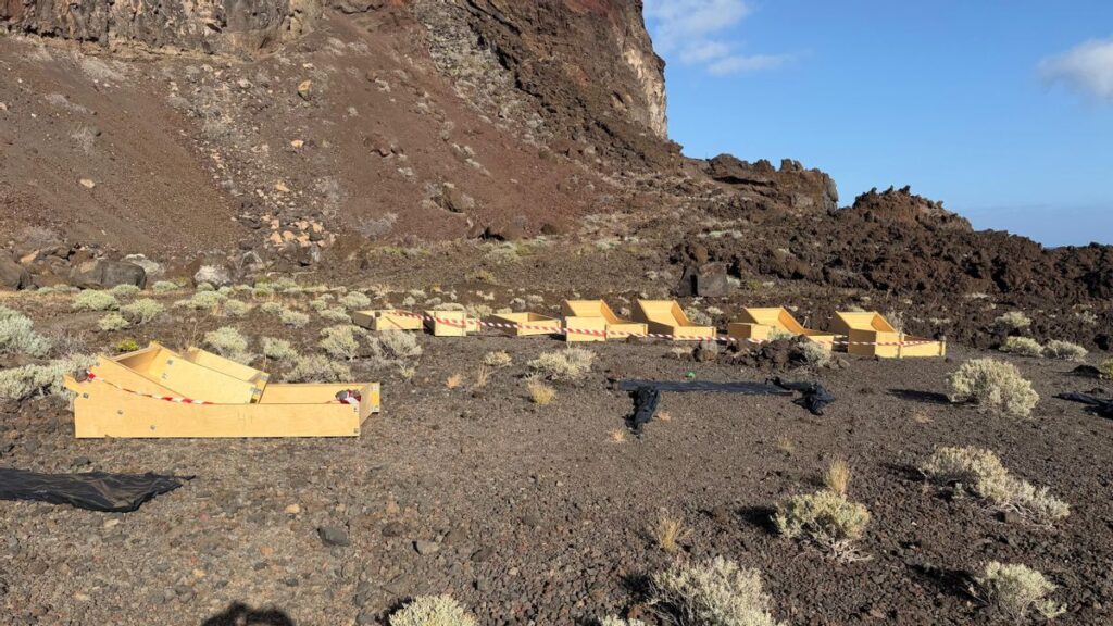 concrete sunbeds tacoron el hierro controversy
