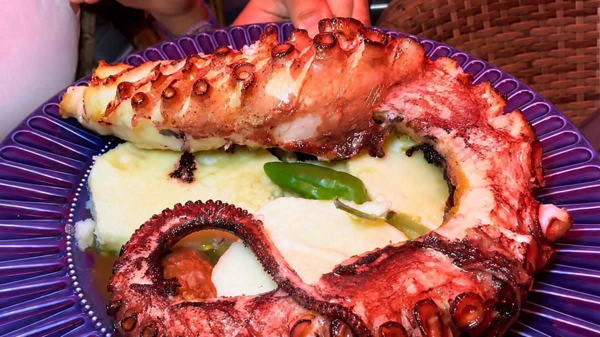 frieduria la mareta santa cruz seafood