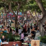 las palmas rapid painting contest 30th edition