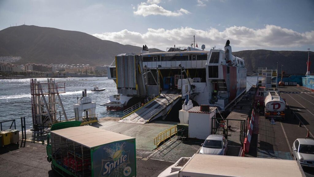 los cristianos port expansion protest