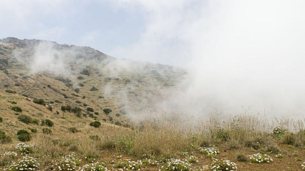 south korean delegation life nieblas fog water project tenerife
